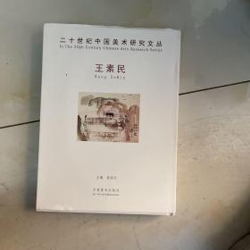 二十世纪中国美术研究文丛【王素民】