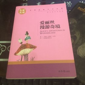 爱丽丝漫游奇境 中小学生课外阅读书籍世界经典文学名著青少年儿童文学读物故事书名家名译原汁原味读原著