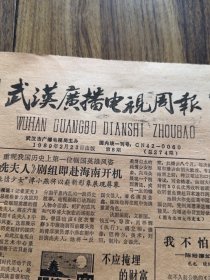 武汉广播电视报