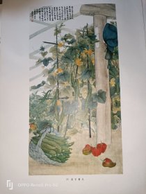 温室黄瓜--俞致贞(1979年印刷的8开老画一张)