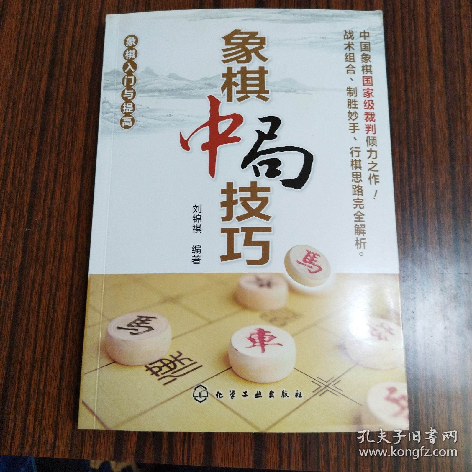 象棋入门与提高：象棋中局技巧