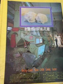 射阳县洋马扎花厂 射阳县新坍扎花厂 江苏资料 广告纸 广告页