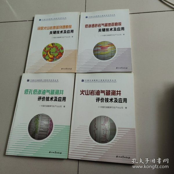 中国石油勘探工程技术攻关丛书：火山岩油气藏测井评价技术及应用、低孔低渗油气藏测井评价技术及应用、低渗透砂岩气藏地震勘探关键技术及应用、深层火山岩地球物理勘探关键技术及应