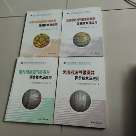 中国石油勘探工程技术攻关丛书：火山岩油气藏测井评价技术及应用、低孔低渗油气藏测井评价技术及应用、低渗透砂岩气藏地震勘探关键技术及应用、深层火山岩地球物理勘探关键技术及应