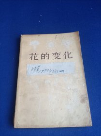 花的变化 【教学研究创作中的画稿 表现花的写生变化 图案花型的变化及色彩与表现方法的变化 着重于变化】