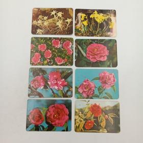 年历卡 1975年 星花 花叶宝珠 大玛瑙 春花 等8枚合售 年历片