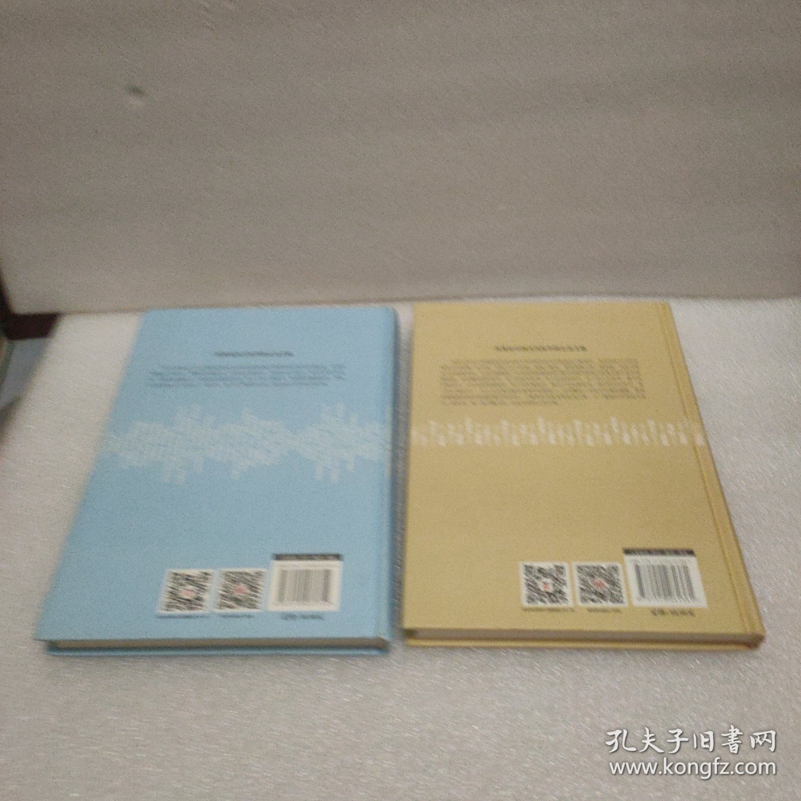 人文经典书系：哲学的盛宴（精装）+中国篇 (2本合售)