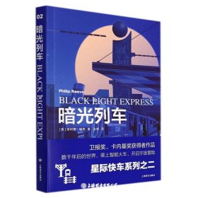 暗光列车