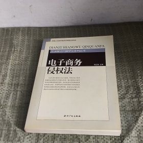 电子商务侵权法/立法前沿问题研究系列丛书