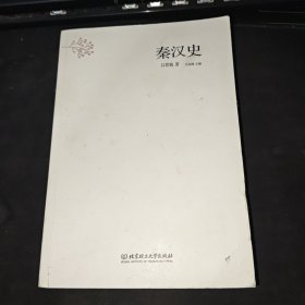 中国大历史：秦汉史