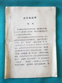 西岳庙图册概况