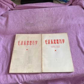 毛泽东思想万岁