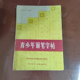 青少年钢笔字帖