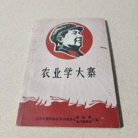 农业学大寨