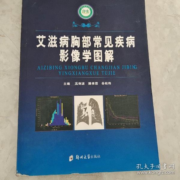 艾滋病胸部常见疾病影像学图解