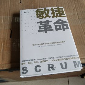 敏捷革命:提升个人创造力与企业效率的全新协作模式