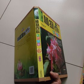 植物百科彩色图鉴(全彩印刷 2.3.4册 3册合售精装)