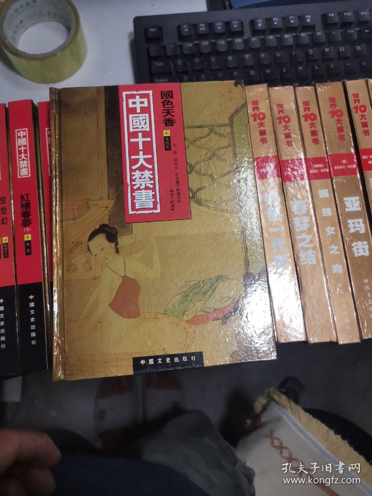中国十大禁书 全12册+世界十大禁书 全12册（共24册全） 正版