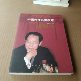 中国为什么要改革：思忆父亲胡耀邦