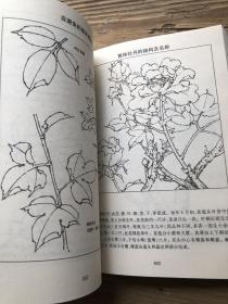 国画书籍 怎样画国画 适合初学者系统学习