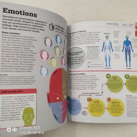 DK How the Brain Works: The Facts Visually Explained