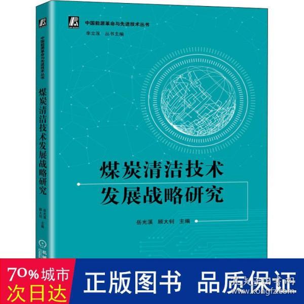 煤炭清洁技术发展战略研究