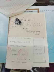 滑翔学员登记表、武汉市第三十六中学推荐意见、武汉市江汉区选调飞行员办公室审查意见、学历证明、入团志愿书、体检表、等合售、1965~1985年、同一个人、详见书影及描述