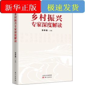 乡村振兴专家深度解读