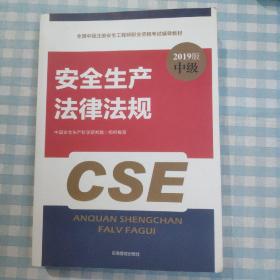 注册安全工程师2019教材安全生产法律法规全国中级注册安全工程师职业资格考试辅导教材2019版