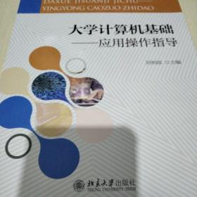大学计算机基础：应用操作指导