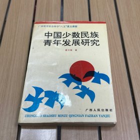 中國少數(shù)民族青年發(fā)展研究