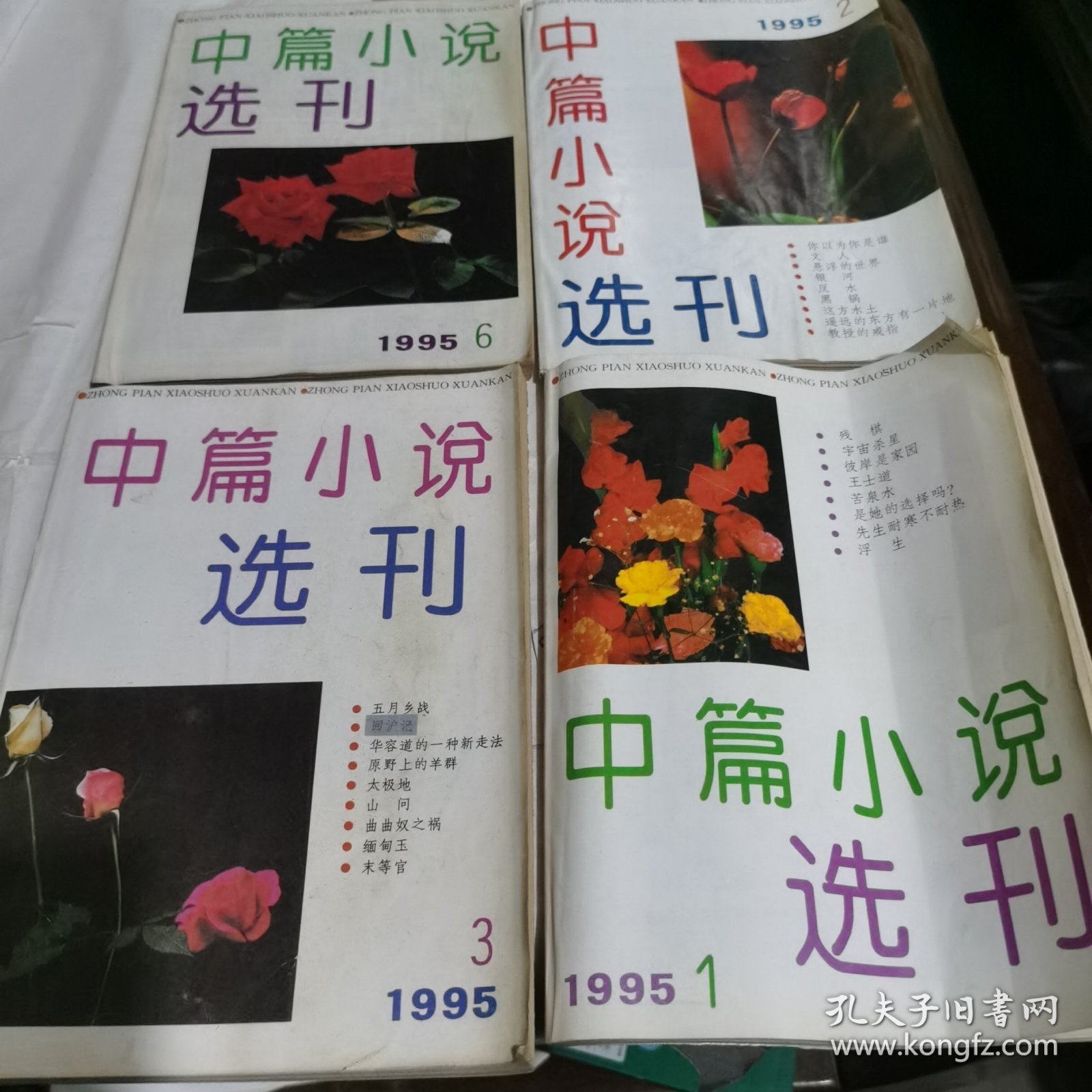 中篇小说选刊1995年