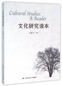 Cultural studies a reader 9787300226231