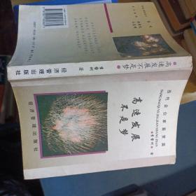 高速發(fā)展不是夢(mèng)