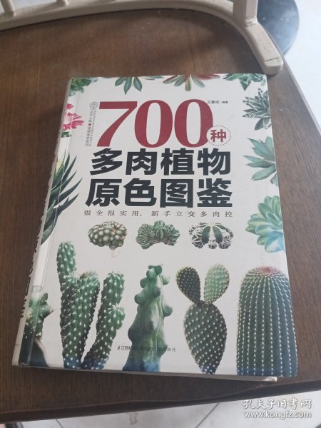 700种多肉植物原色图鉴