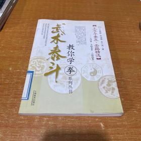 王子平拳术术套路精选：大洪拳·五路查拳·三路炮拳