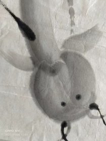 齐良末,年年有余图68×34软片,(价格可以商量)成交送荣宝斋拍卖图录,齐良末,男,字纪牛,号耋根。汉族,湖南湘潭人,1938年生于北京。中国画研究会会员,北京书画研究会会员,北京残疾人协会顾问,海南中岛集团艺术顾问。系齐白石幼子,母亲胡宝珠为齐白石的继室。自幼随父学画,攻山水、人物、花卉,追求齐派风格。