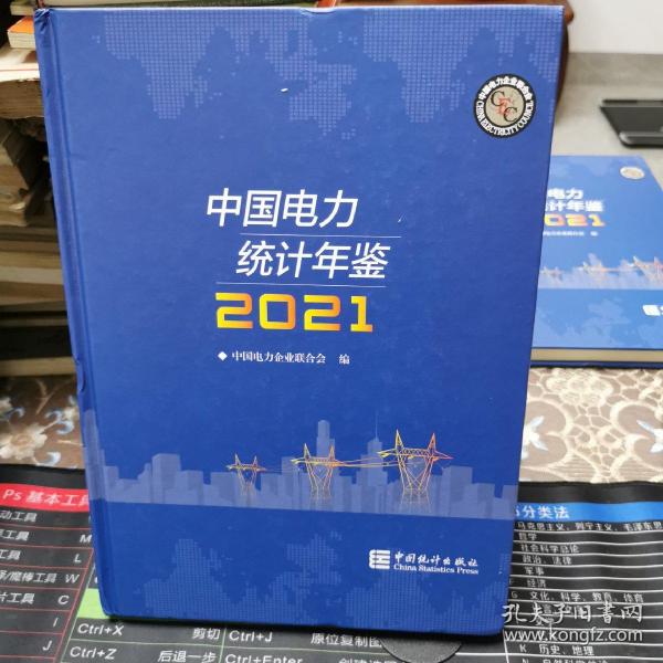 中国电力统计年鉴-2021