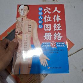 人体经络穴位图册（精绘大图版）