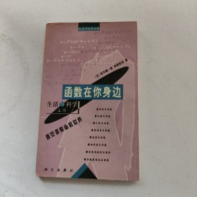 函数在你身边：直觉探索函数世界——生活与科学文库