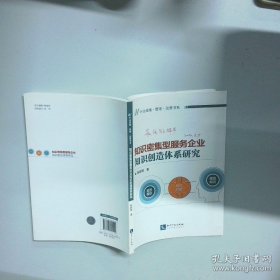行业战略 管理 运营书系 知识密集型服务企业 知识创造体系研究  陈新辉  著 知识产权出版社