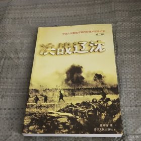 决战辽沈