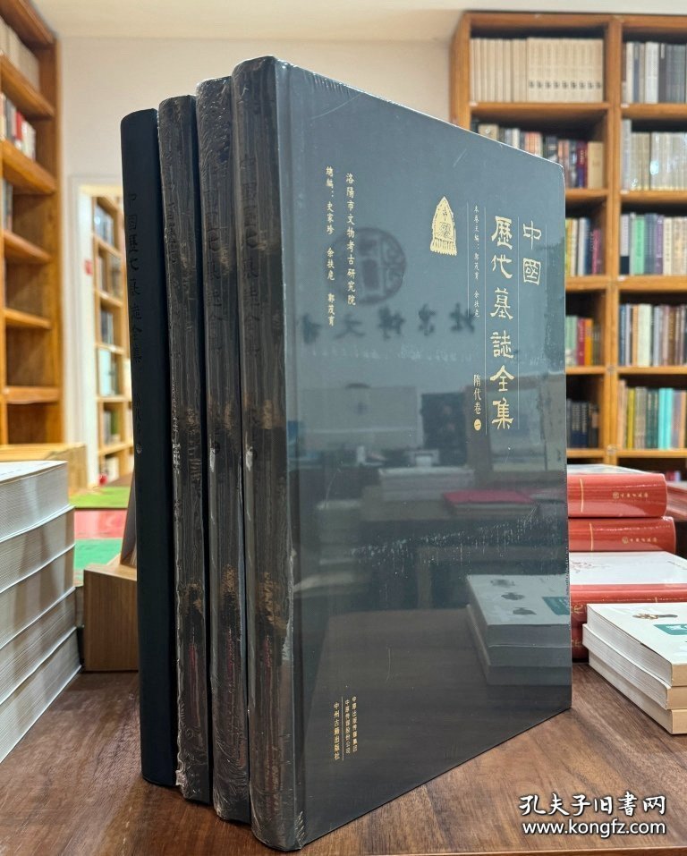 中国历代墓志全集：隋代卷（全4册）
