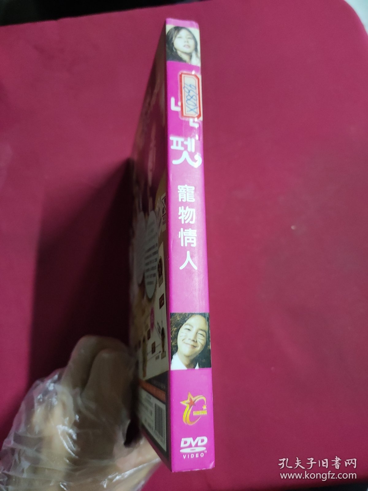 DVD 宠物情人 拆封