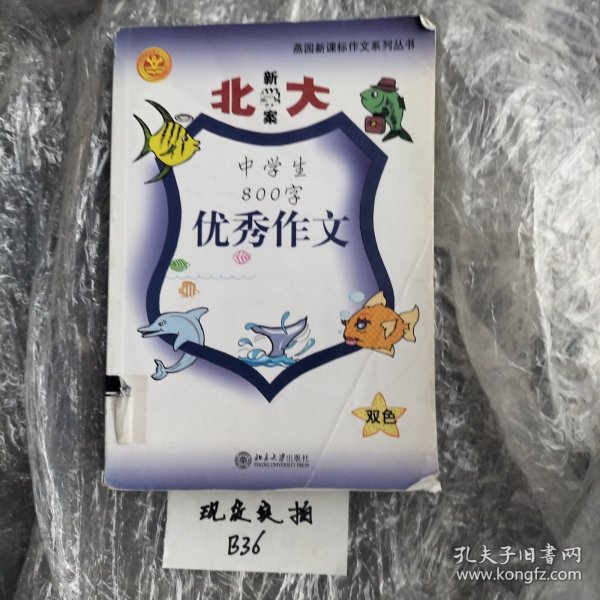 中小学美术教学活动设计