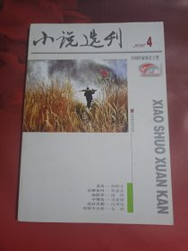 小说选刊 2010-4