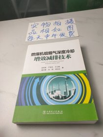 燃煤机组烟气深度冷却增效减排技术