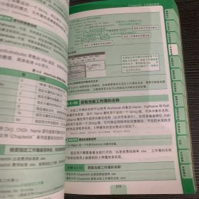 Excel VBA语法与应用辞典