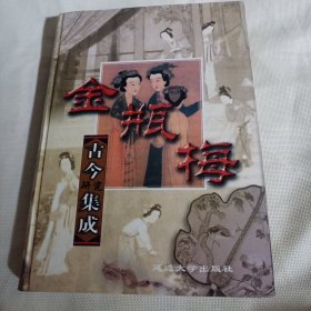 金瓶梅古今研究集成  第二卷 探谜集成JDA569----精装16开近9品