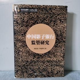 中国影子银行监管研究 精装本
